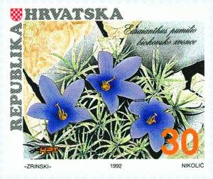 HRVATSKA FLORA-ENDEMIČNE BILJKE HRVATSKE-BIOKOVSKO ZVONCE