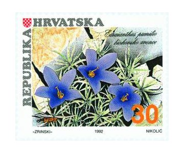 HRVATSKA FLORA-ENDEMIČNE BILJKE HRVATSKE-BIOKOVSKO ZVONCE