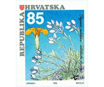 HRVATSKA FLORA-ENDEMIČNE BILJKE HRVATSKE-VELEBITSKA DEGENIJA