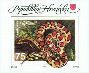 FAUNA HRVATSKE-SVJETSKI DAN ZAŠTITE OKOLIŠA-PJEGAVA CRVENKRPICA