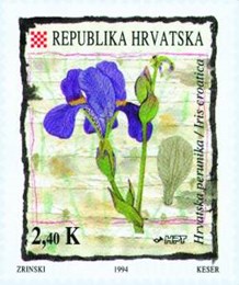 FLORA HRVATSKOG PODRUČJA -HRVATSKA PERUNIKA