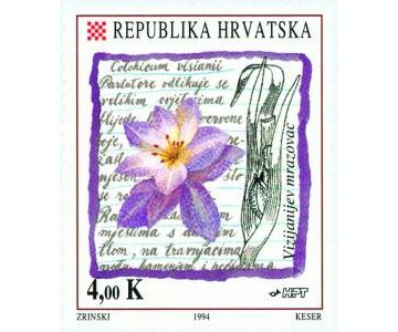 FLORA HRVATSKOG PODRUČJA -VIZIJANIJEV MRAZOVAC