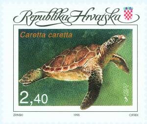 FAUNA HRVATSKOGA PODRUČJA - GLAVATA ŽELVA