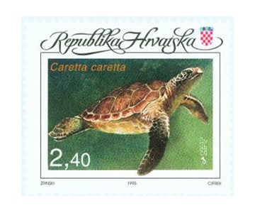 FAUNA HRVATSKOGA PODRUČJA - GLAVATA ŽELVA