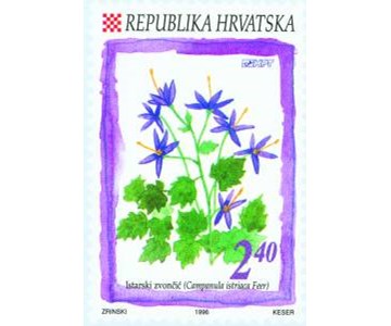 FLORA HRVATSKOGA PODRUČJA - ISTARSKI ZVONČIĆ