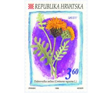 FLORA HRVATSKOGA PODRUČJA - DUBROVAČKA ZEČINA