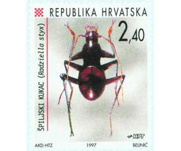 FAUNA HRVATSKOG PODRUČJA - RAĐIN ŠPILJSKI KUKAC