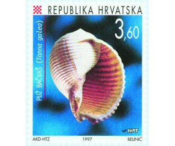 FAUNA HRVATSKOG PODRUČJA - PUŽ BAČVAŠ