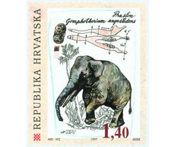 PALEONTOLOŠKI NALAZI U HRVATSKOJ -PRASLON