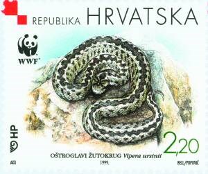 HRVATSKA FAUNA - OŠTROGLAVI ŽUTOKRUG