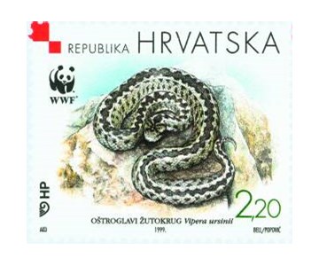 HRVATSKA FAUNA - OŠTROGLAVI ŽUTOKRUG