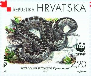 HRVATSKA FAUNA - OŠTROGLAVI ŽUTOKRUG