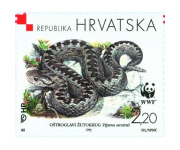HRVATSKA FAUNA - OŠTROGLAVI ŽUTOKRUG