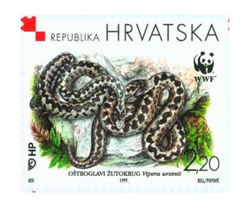 HRVATSKA FAUNA - OŠTROGLAVI ŽUTOKRUG