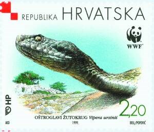 HRVATSKA FAUNA - OŠTROGLAVI ŽUTOKRUG