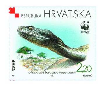 HRVATSKA FAUNA - OŠTROGLAVI ŽUTOKRUG