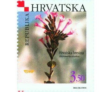 HRVATSKA FLORA - HRVATSKA BRESINA