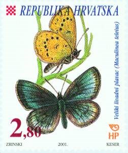 HRVATSKA FAUNA - LEPTIRI - VELIKI LIVADNI PLAVAC