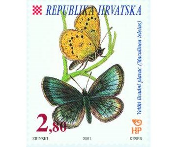 HRVATSKA FAUNA - LEPTIRI - VELIKI LIVADNI PLAVAC