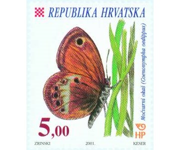 HRVATSKA FAUNA - LEPTIRI - MOČVARNI OKAŠ