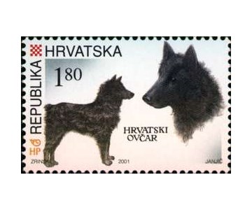 HRVATSKE AUTOHTONE PASMINE PASA - HRVATSKI OVČAR