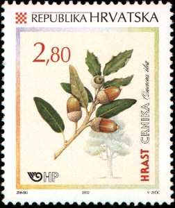 HRVATSKA FLORA - HRASTOVI - CRNIKA