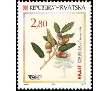HRVATSKA FLORA - HRASTOVI - CRNIKA