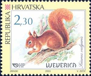 HRVATSKA FAUNA - GLODAVCI - VJEVERICA