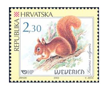 HRVATSKA FAUNA - GLODAVCI - VJEVERICA