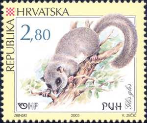 HRVATSKA FAUNA - GLODAVCI - PUH