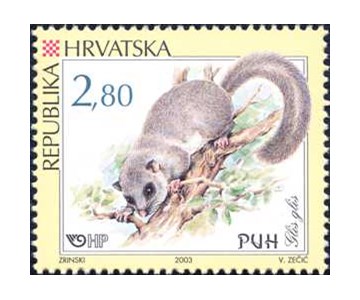 HRVATSKA FAUNA - GLODAVCI - PUH