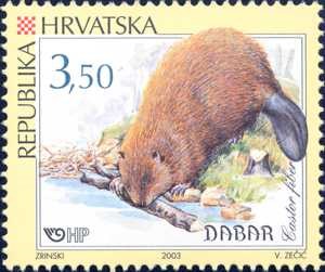 HRVATSKA FAUNA - GLODAVCI - DABAR