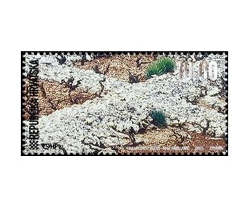 PRIMOŠTENSKI VINOGRADI - ZAŠTIĆENI KULTURNI KRAJOLIK (blok)
