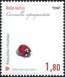 HRVATSKA FAUNA - Božja ovčica -Coccinella septempunctata 