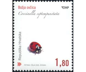 HRVATSKA FAUNA - Božja ovčica -Coccinella septempunctata 