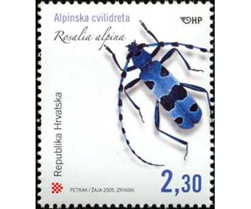 HRVATSKA FAUNA - Alpinska cvilidreta Rosalia alpina 