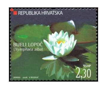 HRVATSKA FLORA  - Bijeli lopoč 