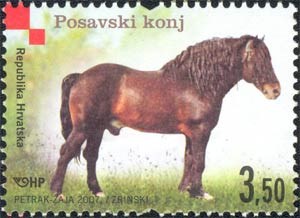 HRVATSKE AUTOHTONE PASMINE - POSAVSKI KONJ