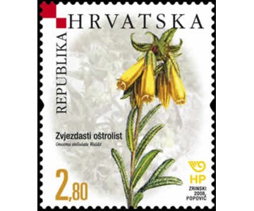 HRVATSKA FLORA - ENDEMI - Zvjezdasti oštrolist 