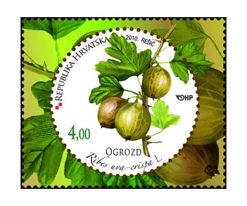 HRVATSKA FLORA –  VOĆE - OGROZD
