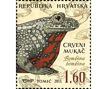 HRVATSKA FAUNA - VODOZEMCI, Crveni mukač
