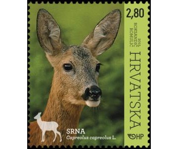 HRVATSKA FAUNA – ŠUMSKE ŽIVOTINJE, SRNA