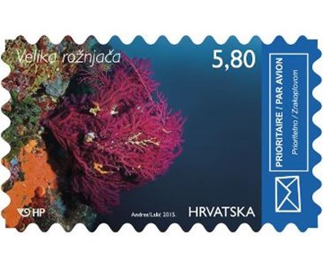 HRVATSKO PODMORJE II - VELIKA ROŽNJAČA