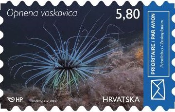 HRVATSKO PODMORJE II - OPNENA VOSKOVICA
