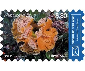 HRVATSKO PODMORJE II - NEPTUNOVA ČIPKA