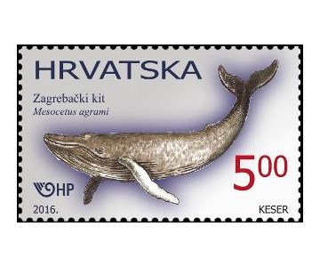 PALEONTOLOGIJA, zagrebački kit