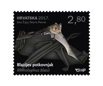 HRVATSKA FAUNA - ŠIŠMIŠI, Blaz?ev potkovnjak