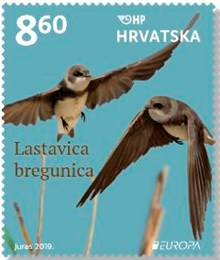 EUROPA – PTICE, Bregunica