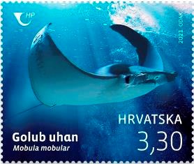 HRVATSKA FAUNA – GOLUB UHAN