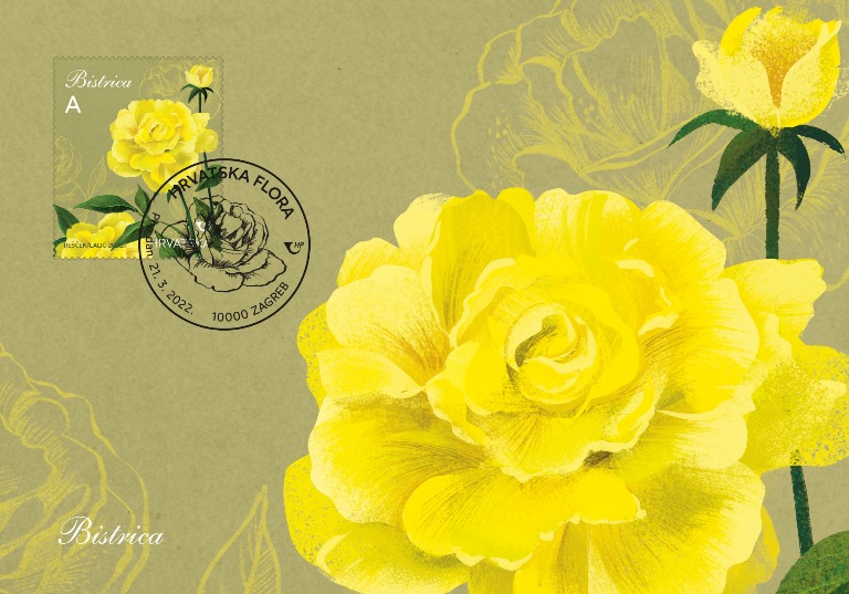 HRVATSKA FLORA – RUŽE, bistrica